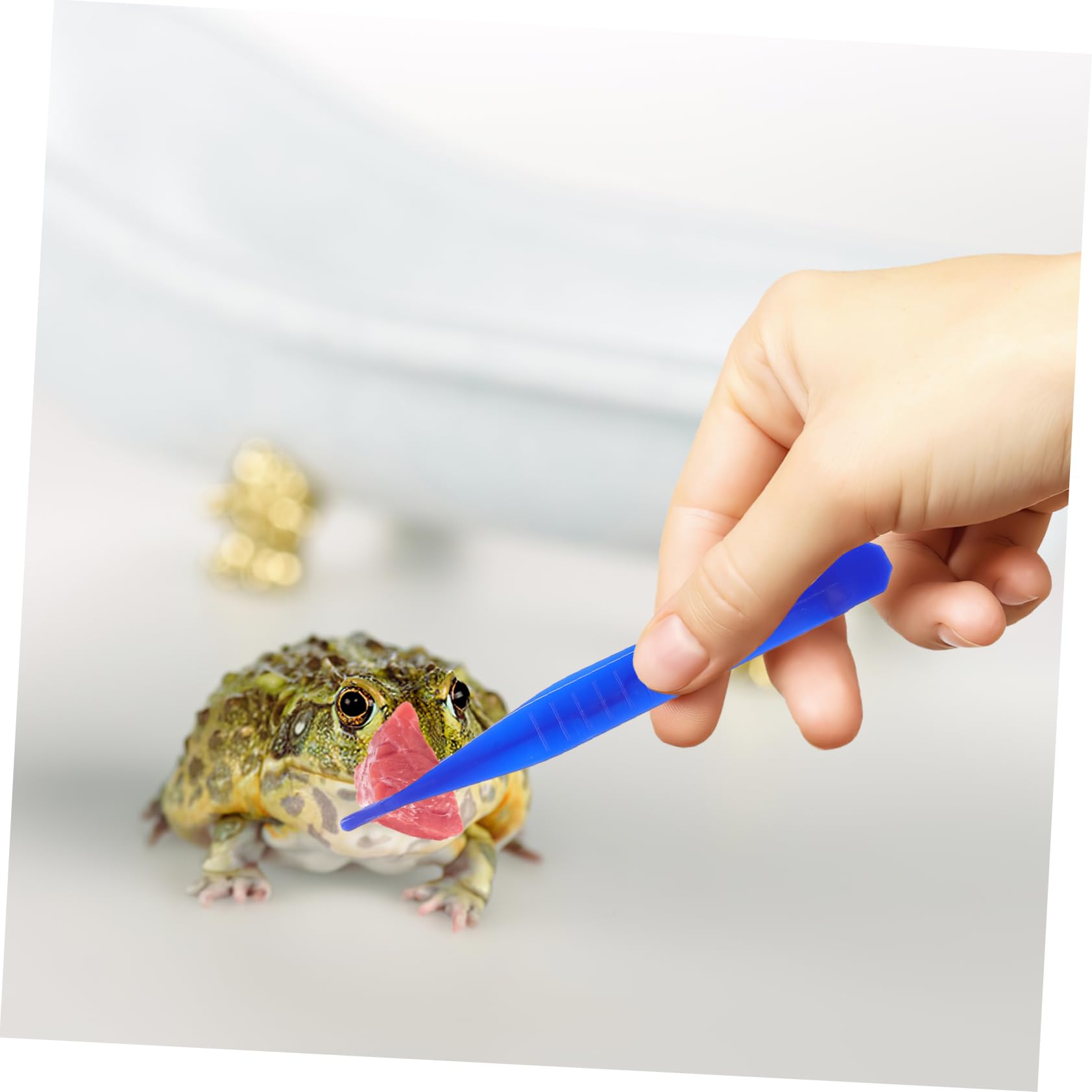 Amazon.co.jp: 6個 爬虫類 スポイト 爬虫類供給トング 供給ク